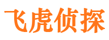 泽州市婚外情调查